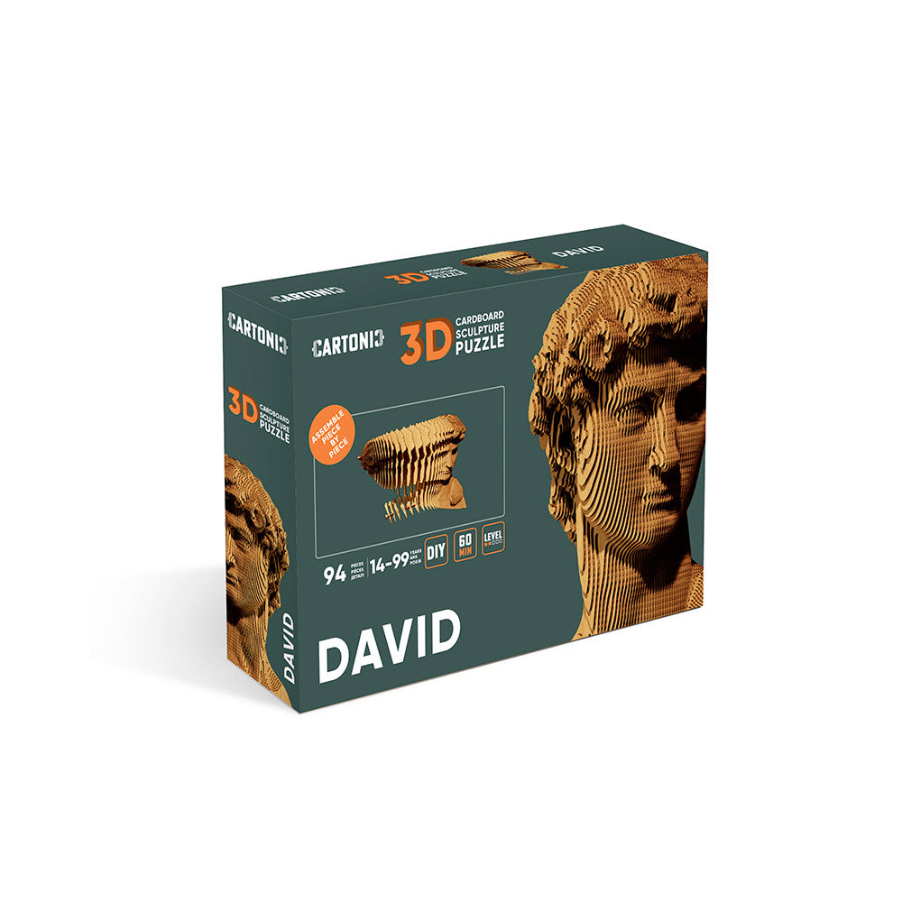 Cartonic 3D Pussel DAVID