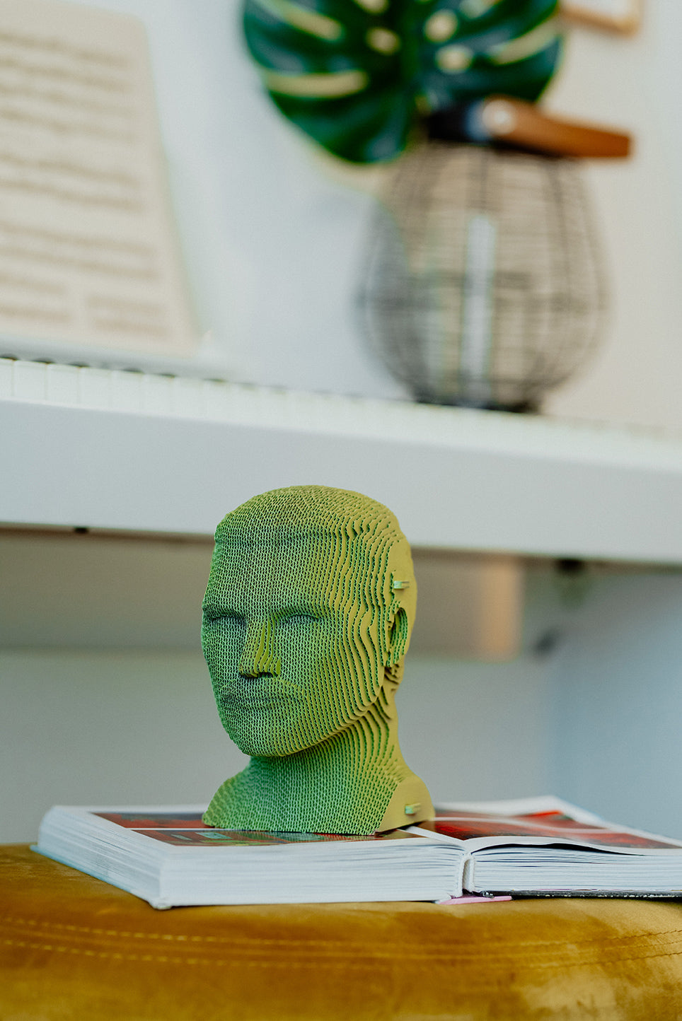 Cartonic 3D Pussel FREDDIE